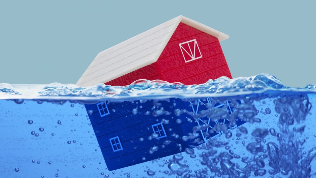 水に浮かぶ家の模型