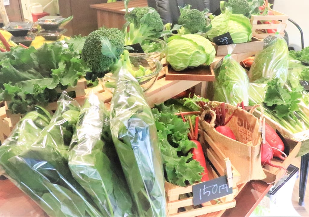 色とりどりの野菜