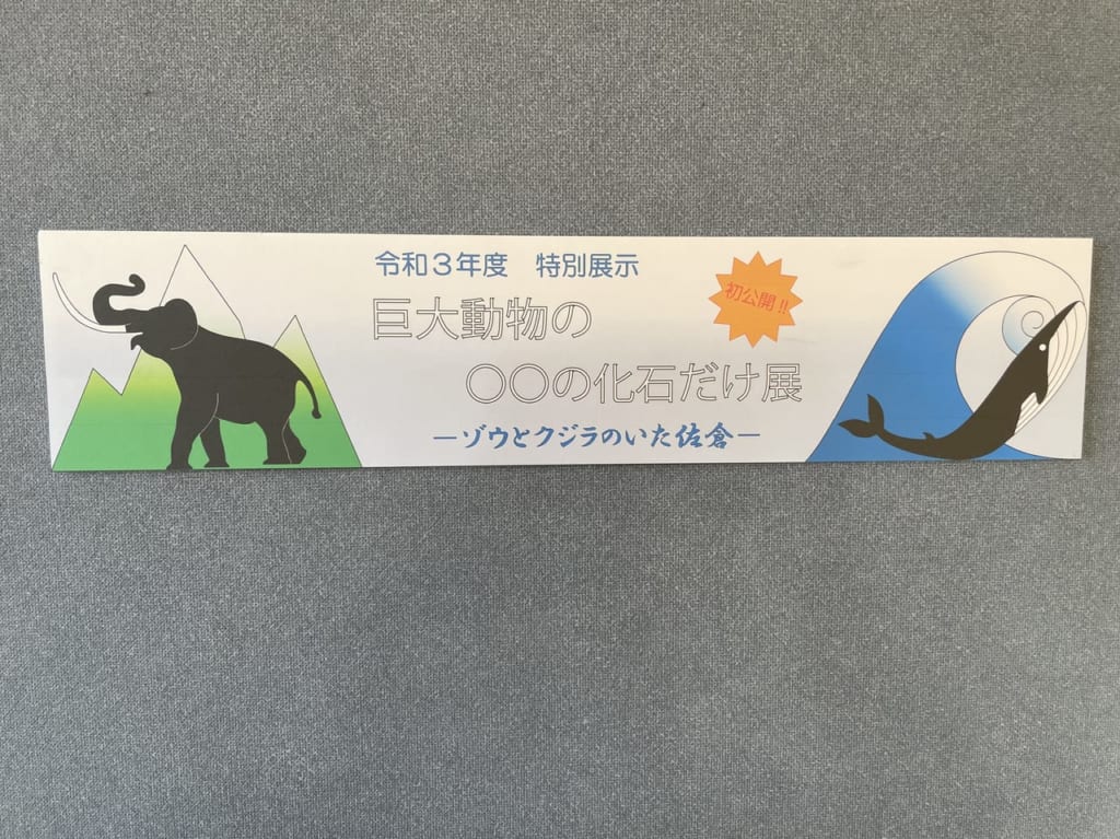 巨大生物の○○の化石だけ展