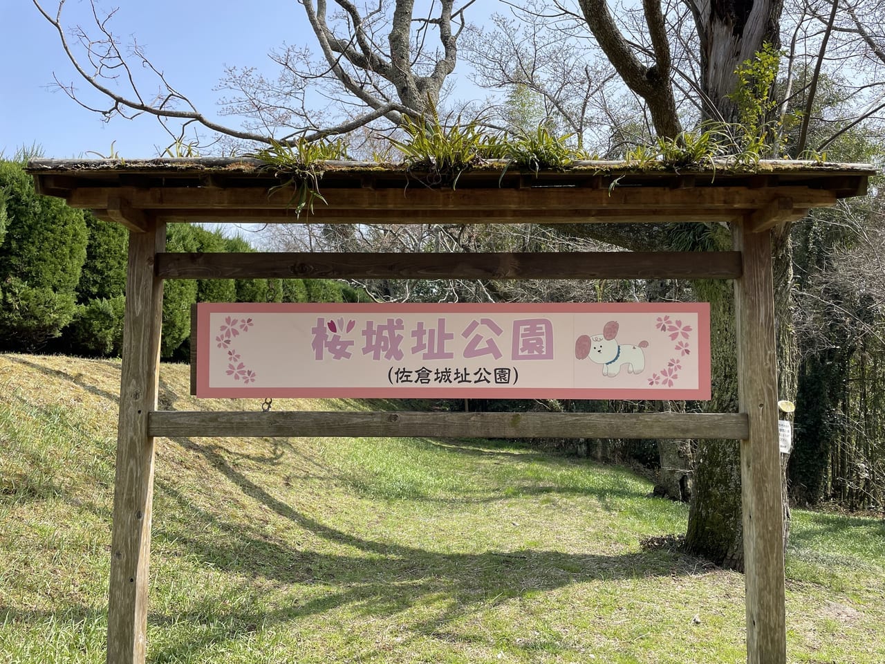 桜城址公園