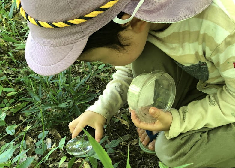 2023印旛沼探検隊もりのじかん原画展