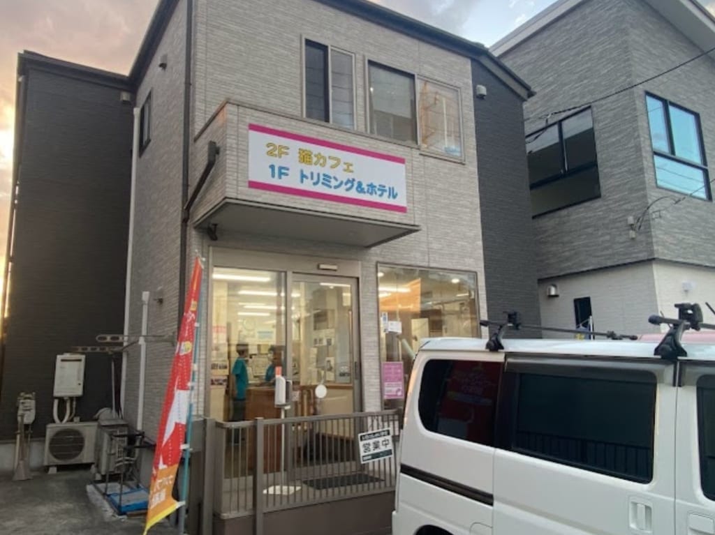 猫カフェWONWON