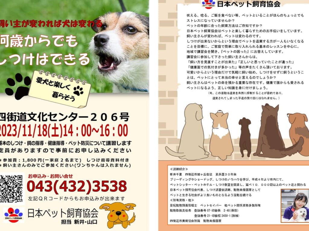 飼い主が変われば犬は変わる