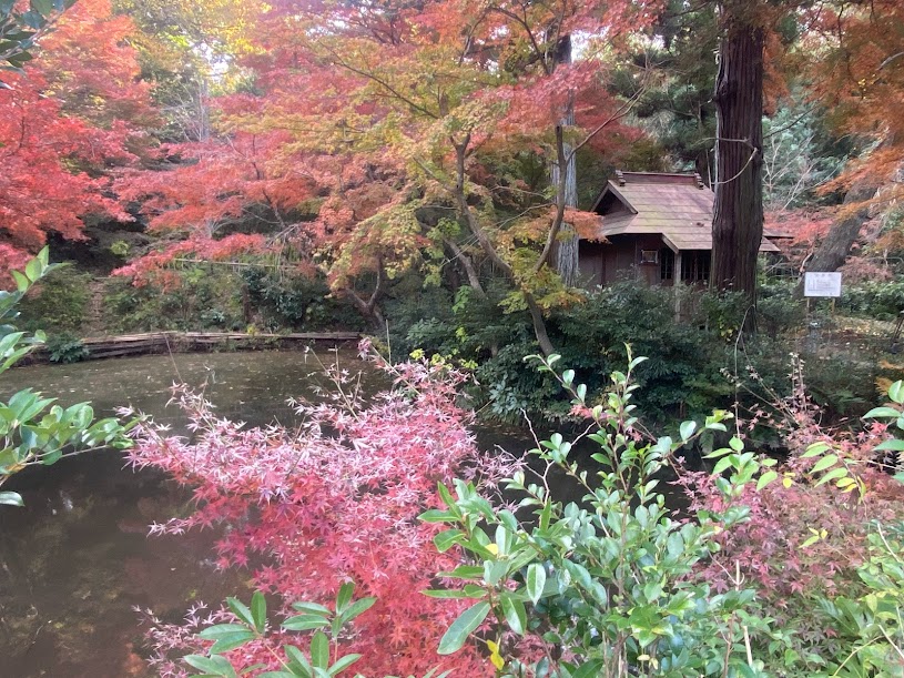 時崎の弁天さまの池