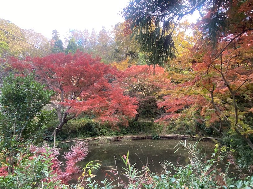 時崎の弁天さまの池