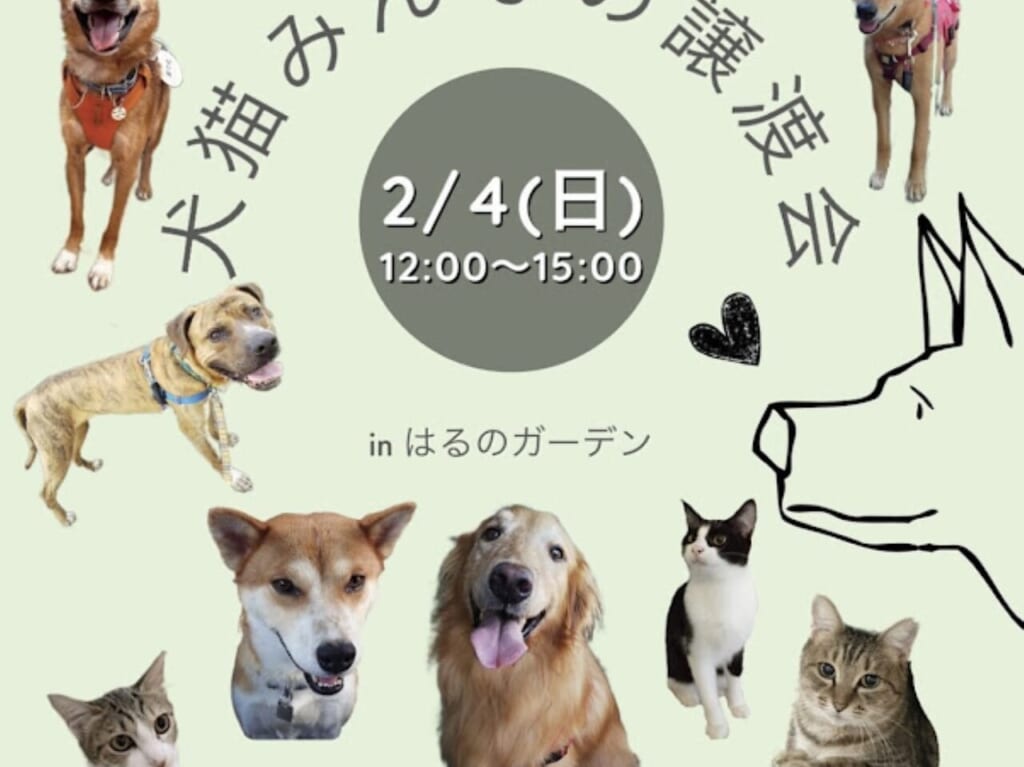 第3回犬猫みんなの譲渡会