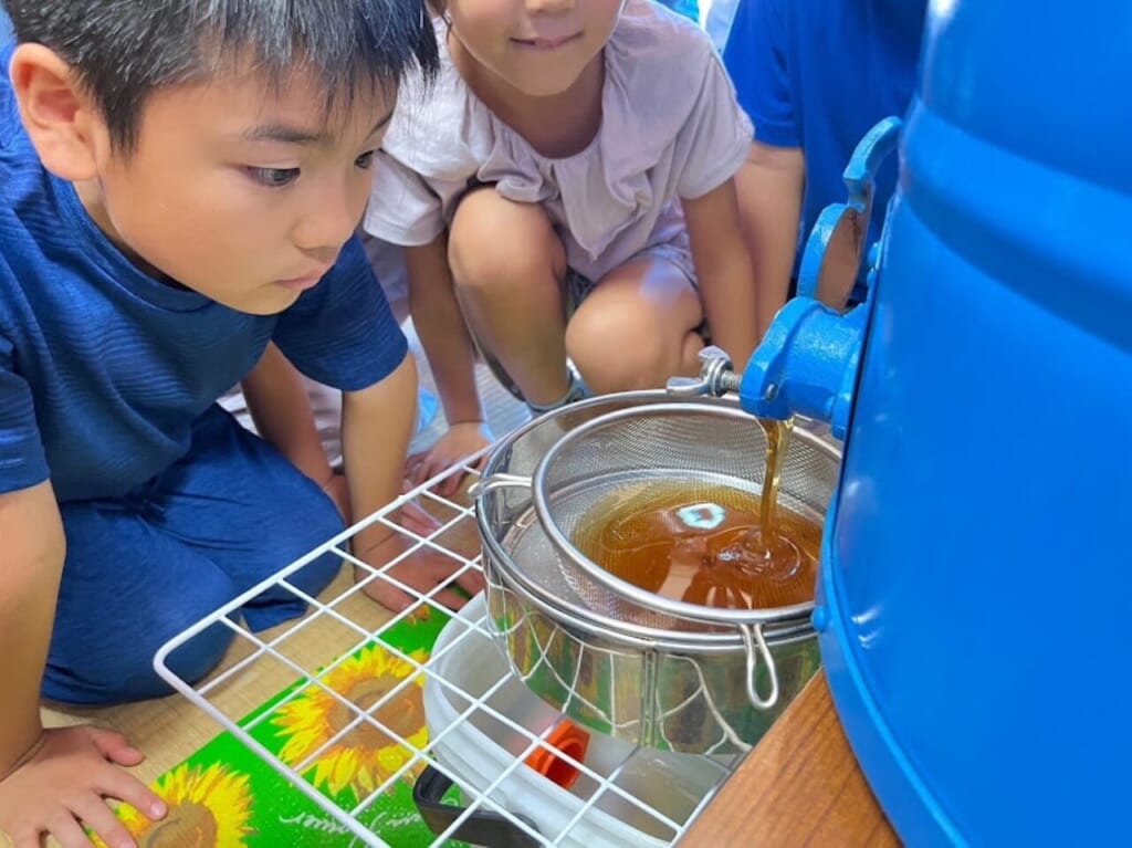 養蜂のヒミツ