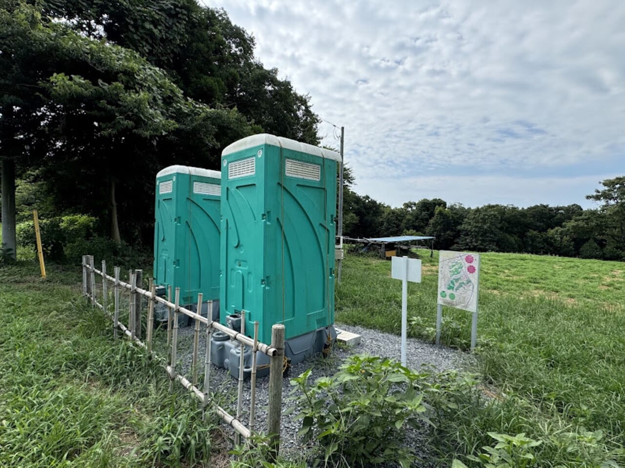 佐倉里山公園ひまわり畑