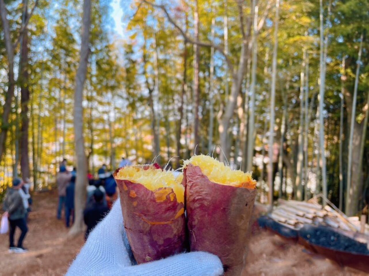 里山フェス