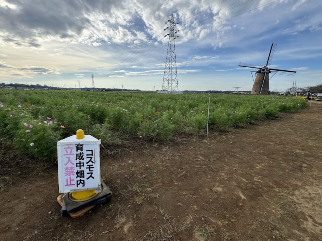 佐倉ふるさと広場