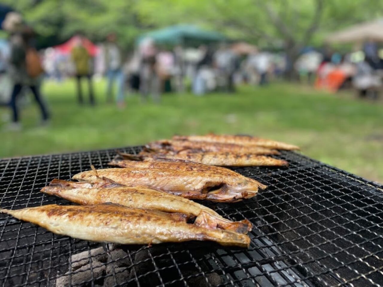 佐倉ラベンダーランド花火大会