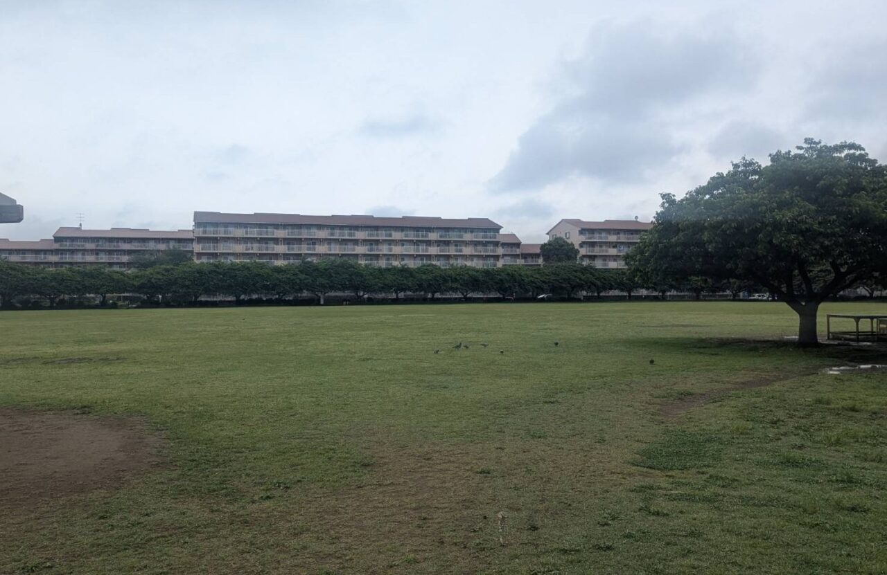 西志津スポーツ等多目的広場1