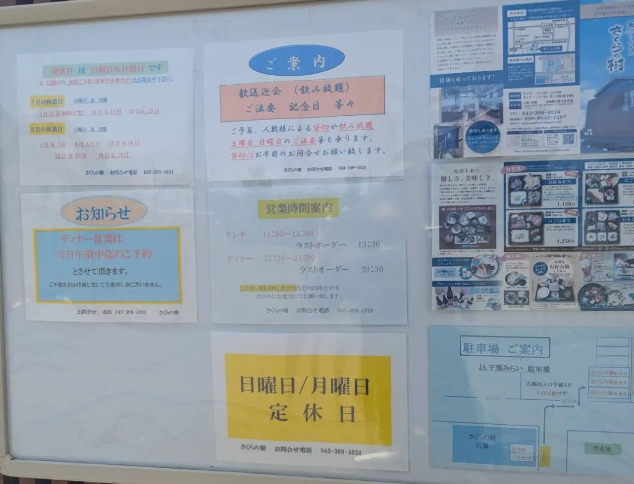 さくらの樹　お知らせ