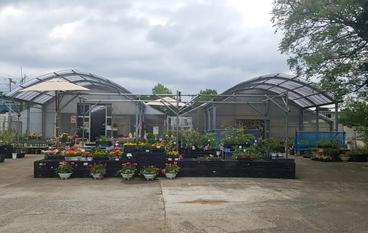 さくら植物園　外観
