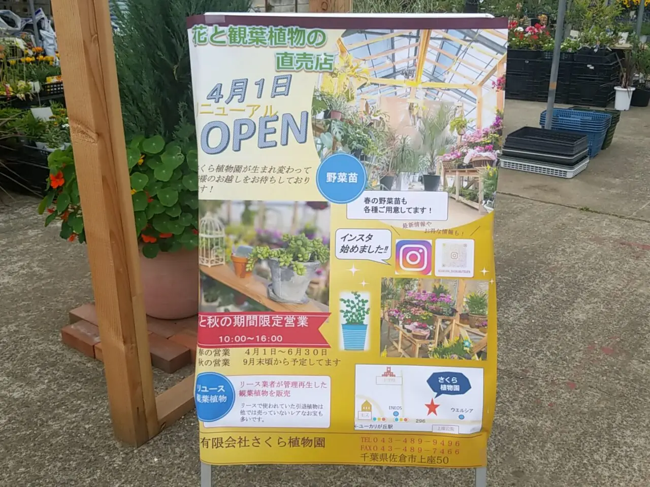 さくら植物園　リニューアルオープン