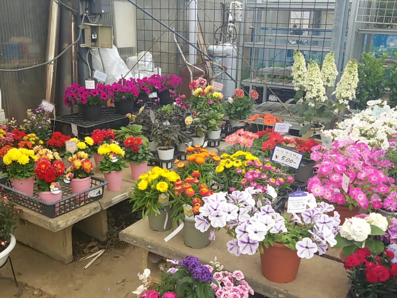 さくら植物園