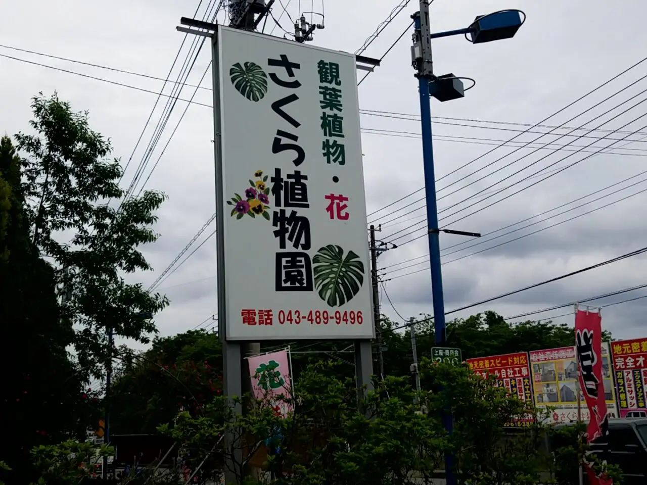 さくら植物園　看板