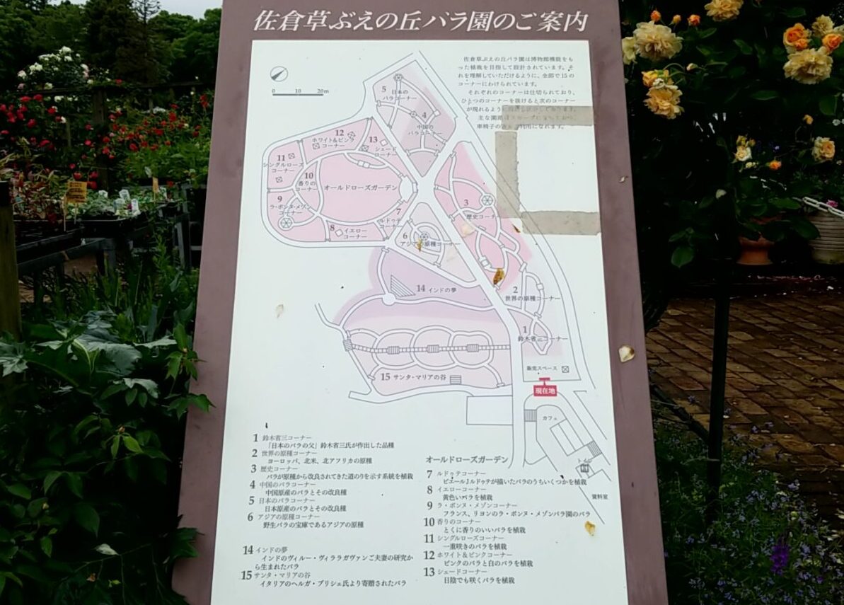 草ぶえの丘バラ園　マップ