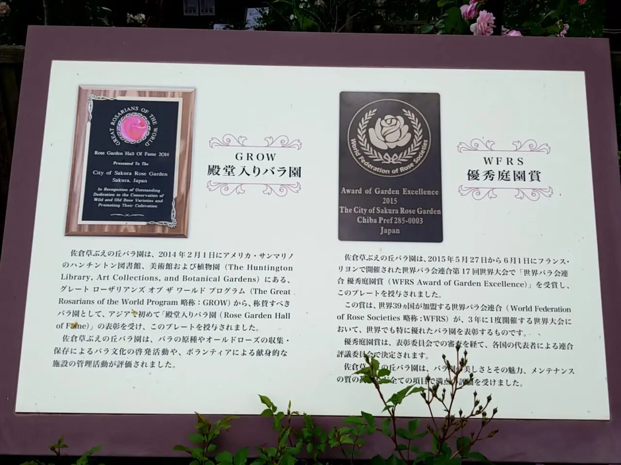 草ぶえの丘バラ園　受賞