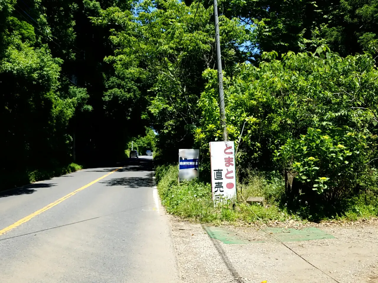 江川誠農園　看板