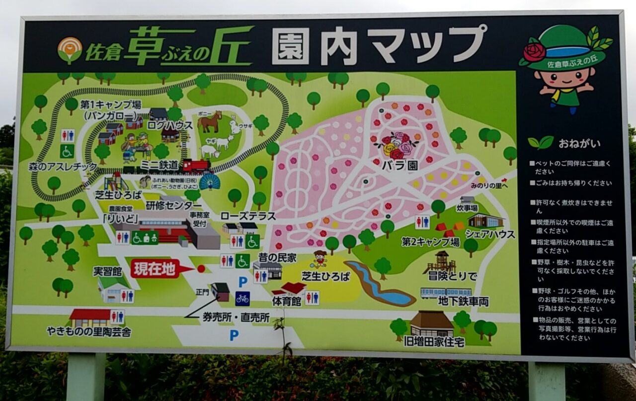 草ぶえの丘　マップ