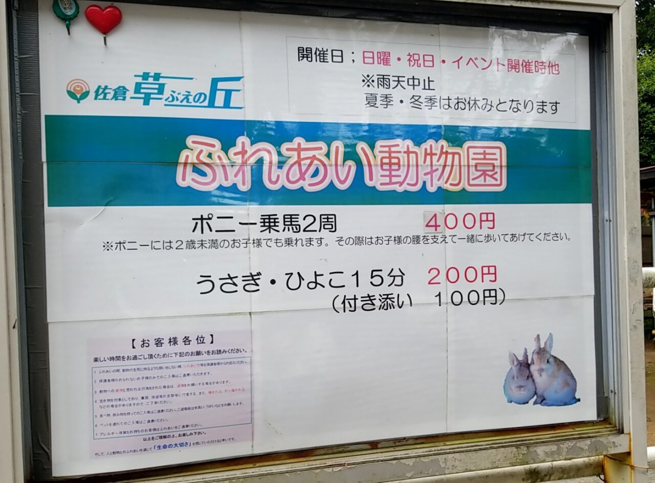 草ぶえの丘ふれあい動物　園