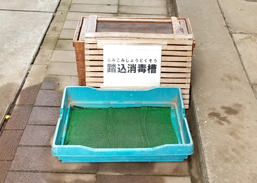 草ぶえの丘ふれあい動物　消毒　