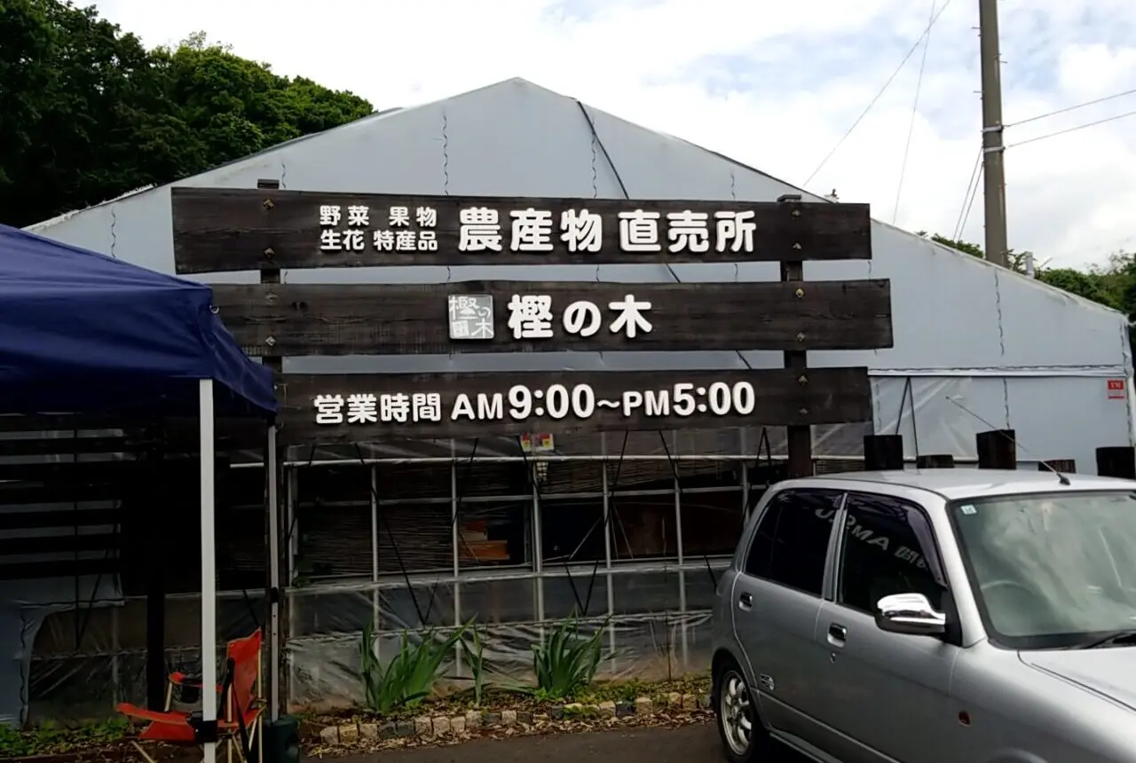樫の木　看板