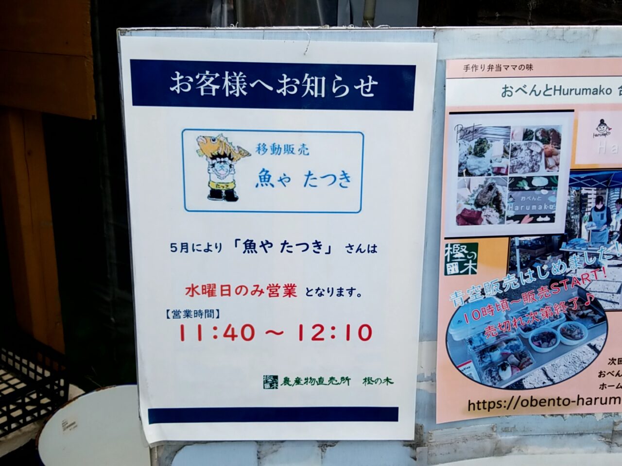 樫の木　魚やたつきお知らせ