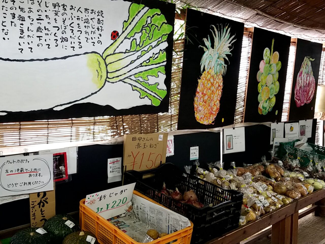 樫の木　絵画