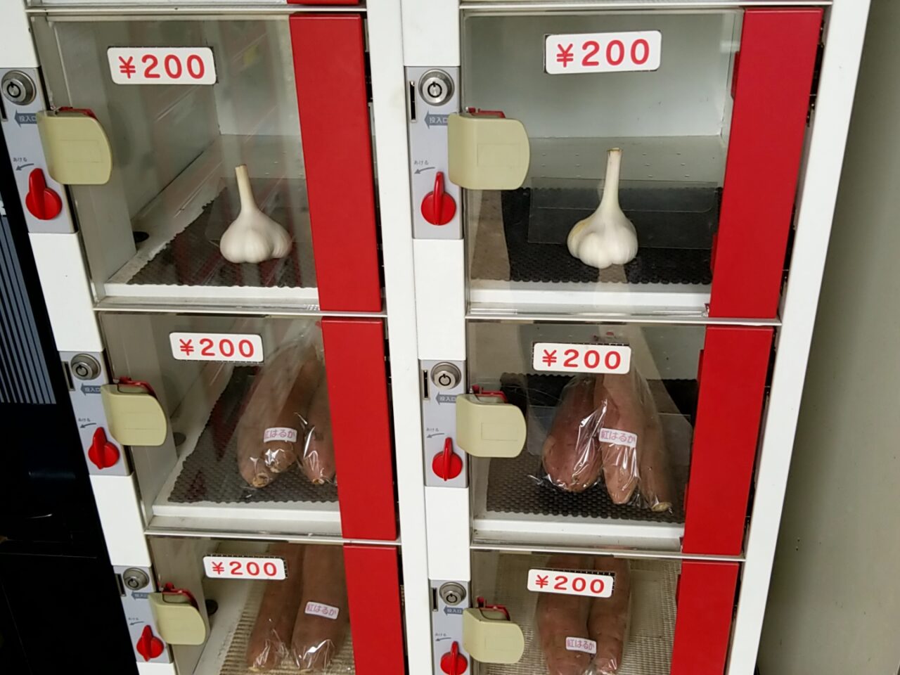 中村農園直売所　にんにく