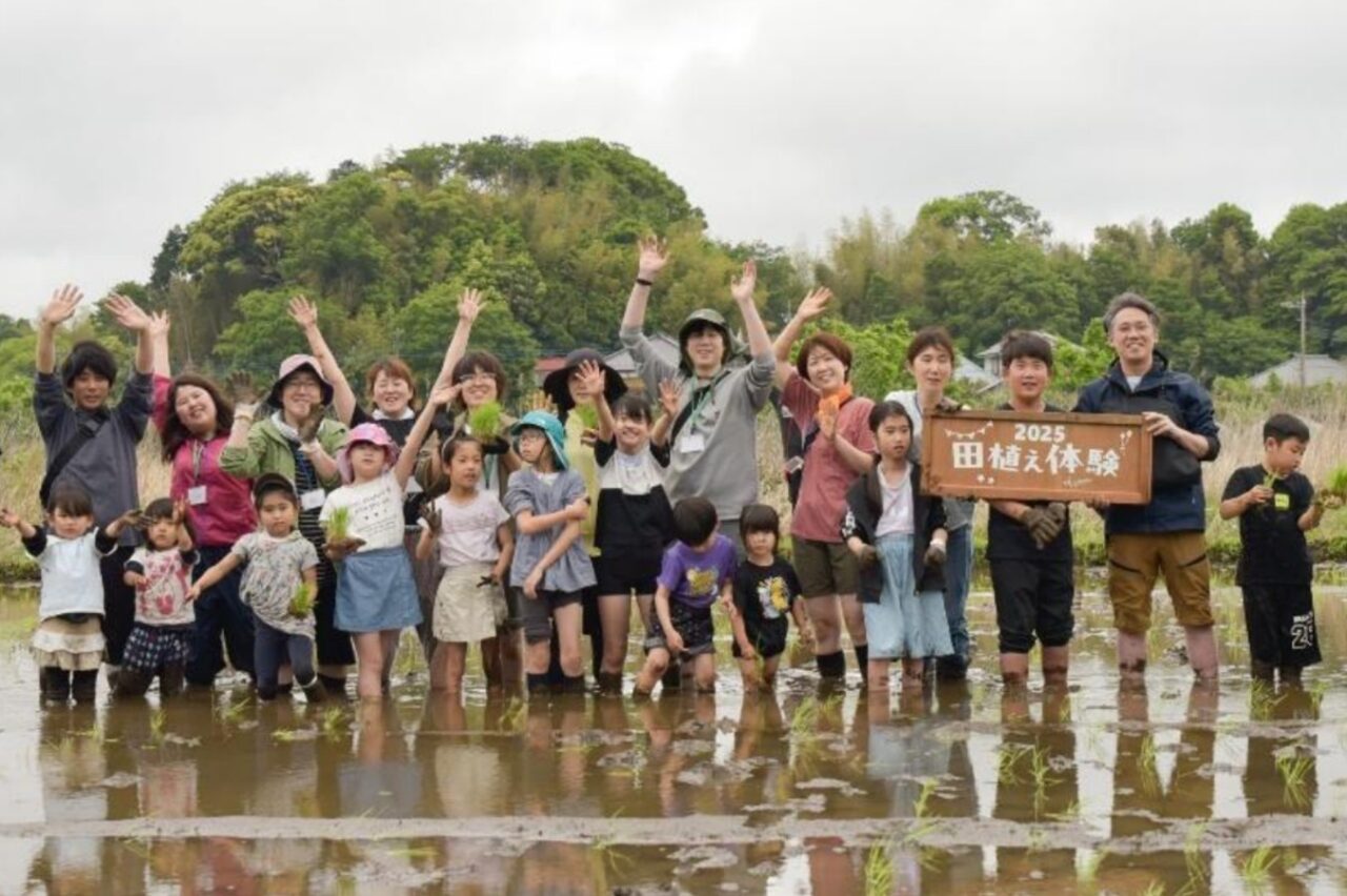 田植え体験2025