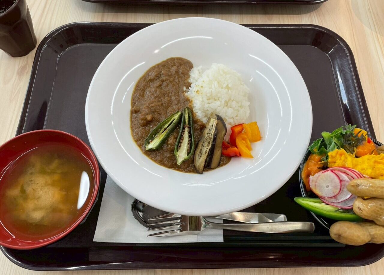 sakuraヘルシーテラス 気まぐれカレー