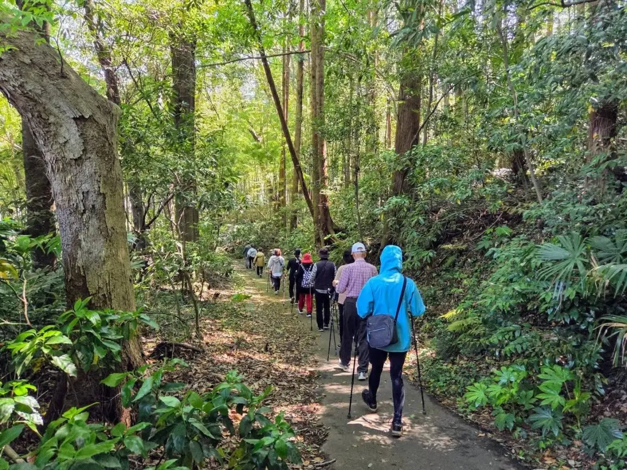 ノルディック・ウォーク1