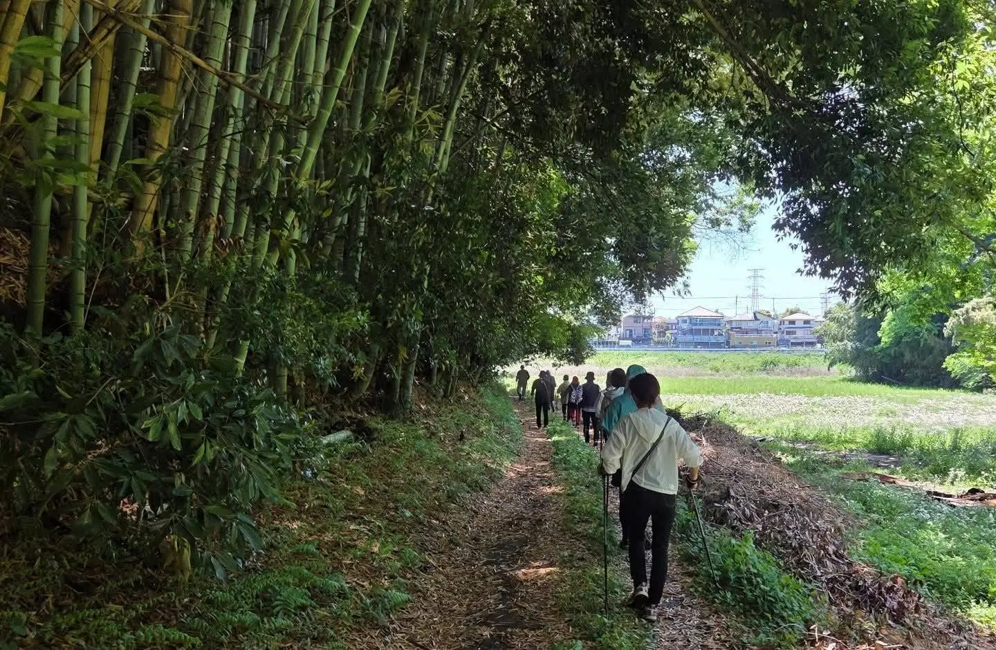 ノルディック・ウォーク2