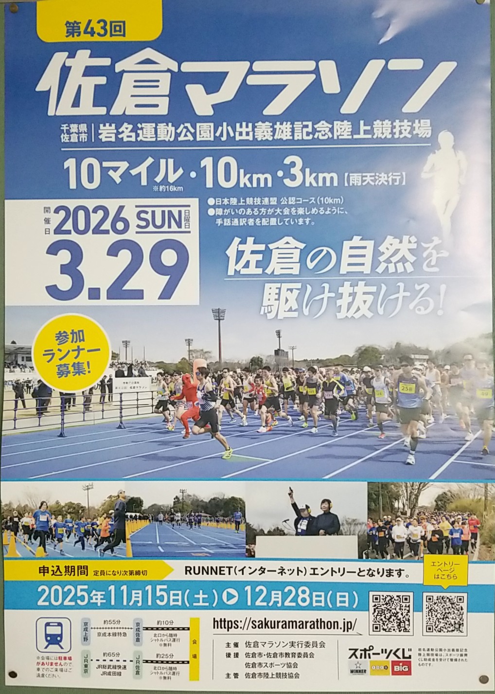 第43回佐倉マラソン　ポスター