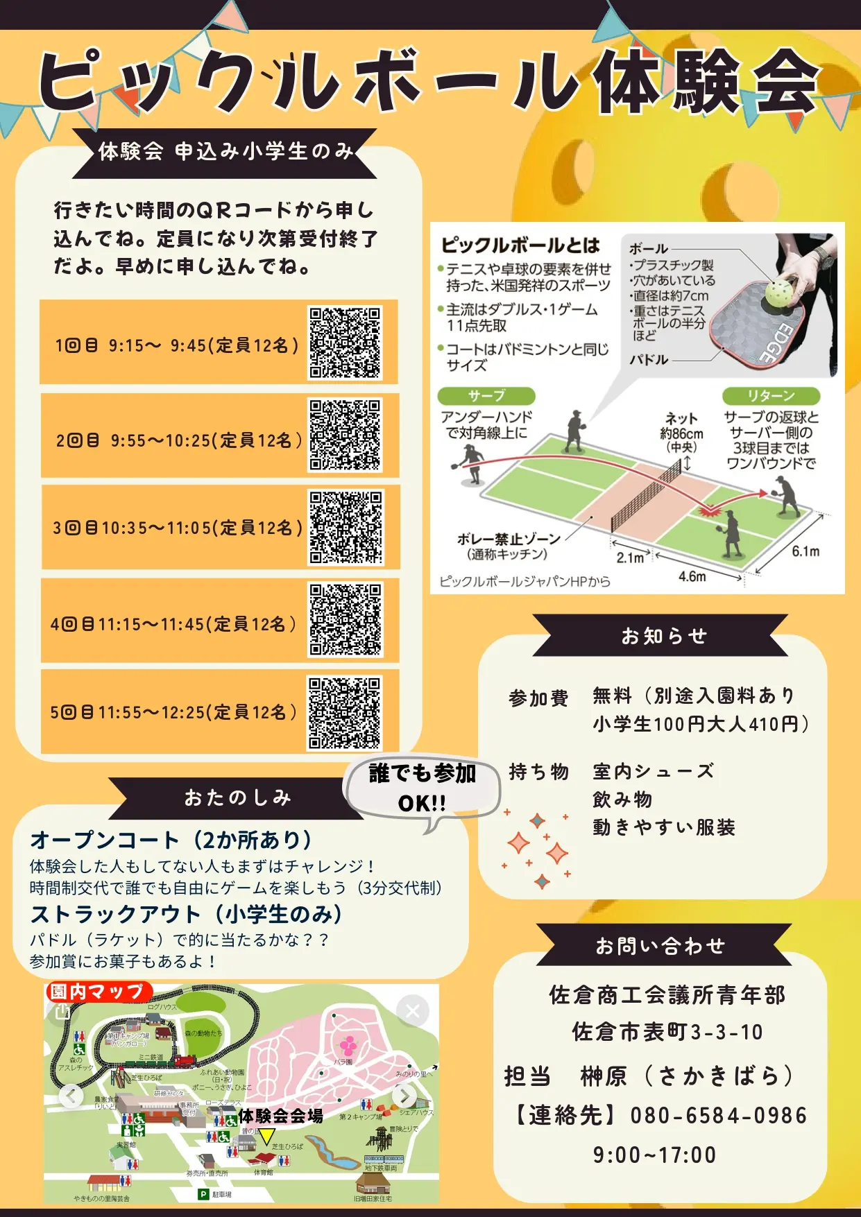 ピックルボール体験会チラシ裏