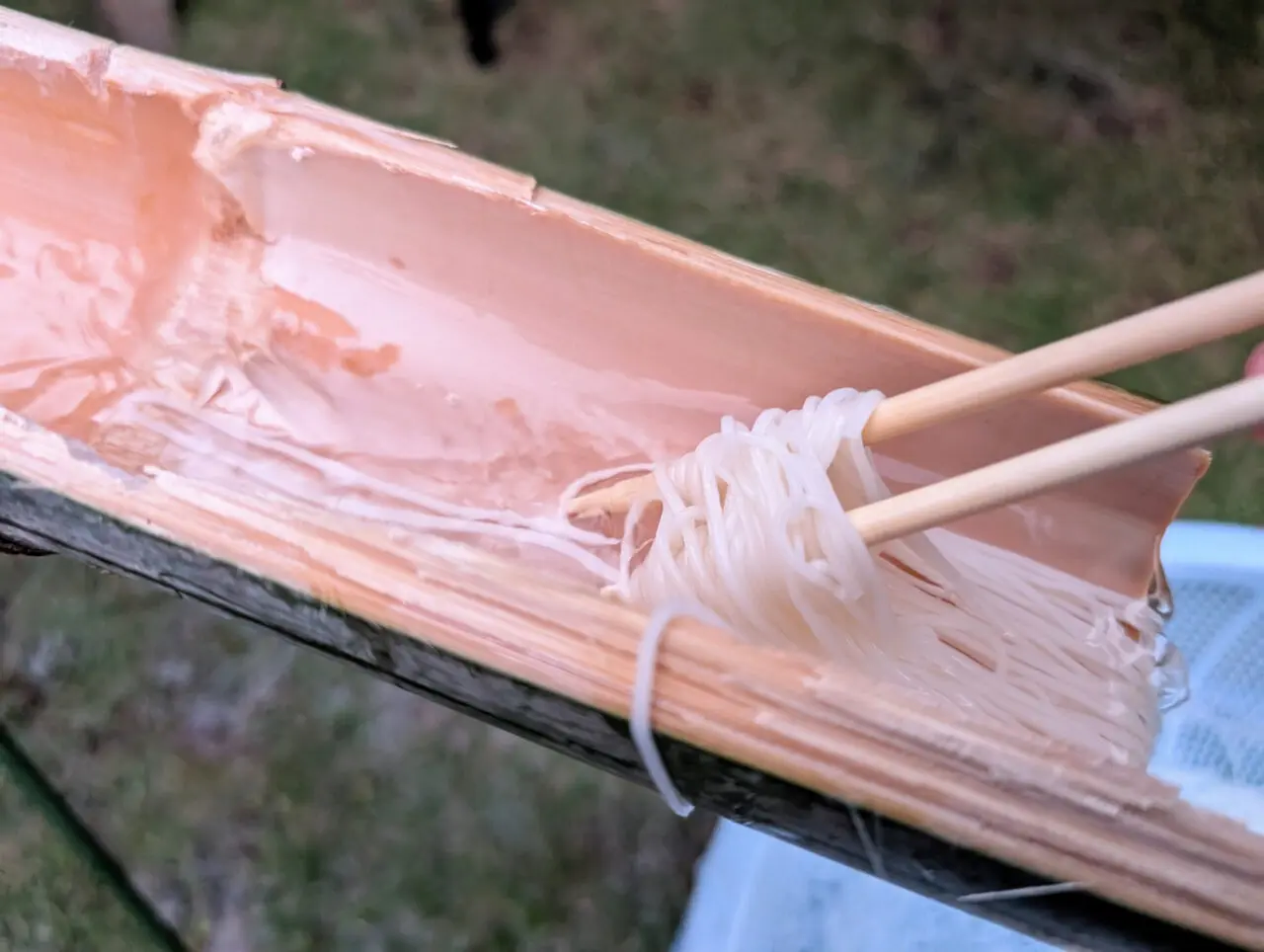 わんわん流しそうめん